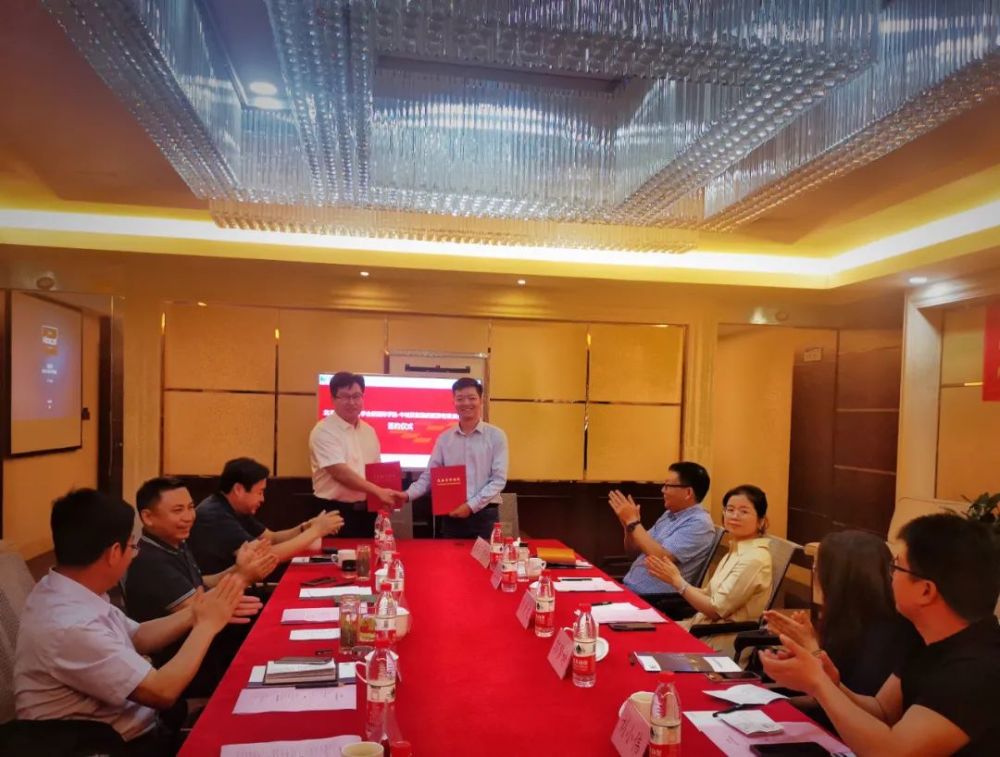 新型洗滌劑，小巷中的隱藏寶藏揭秘