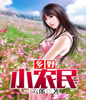 高科技產品引領鄉村新生活——鄉村小民最新章節