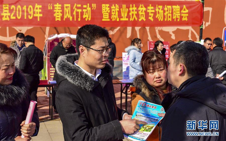 河北最新招聘信息概覽與觀點論述