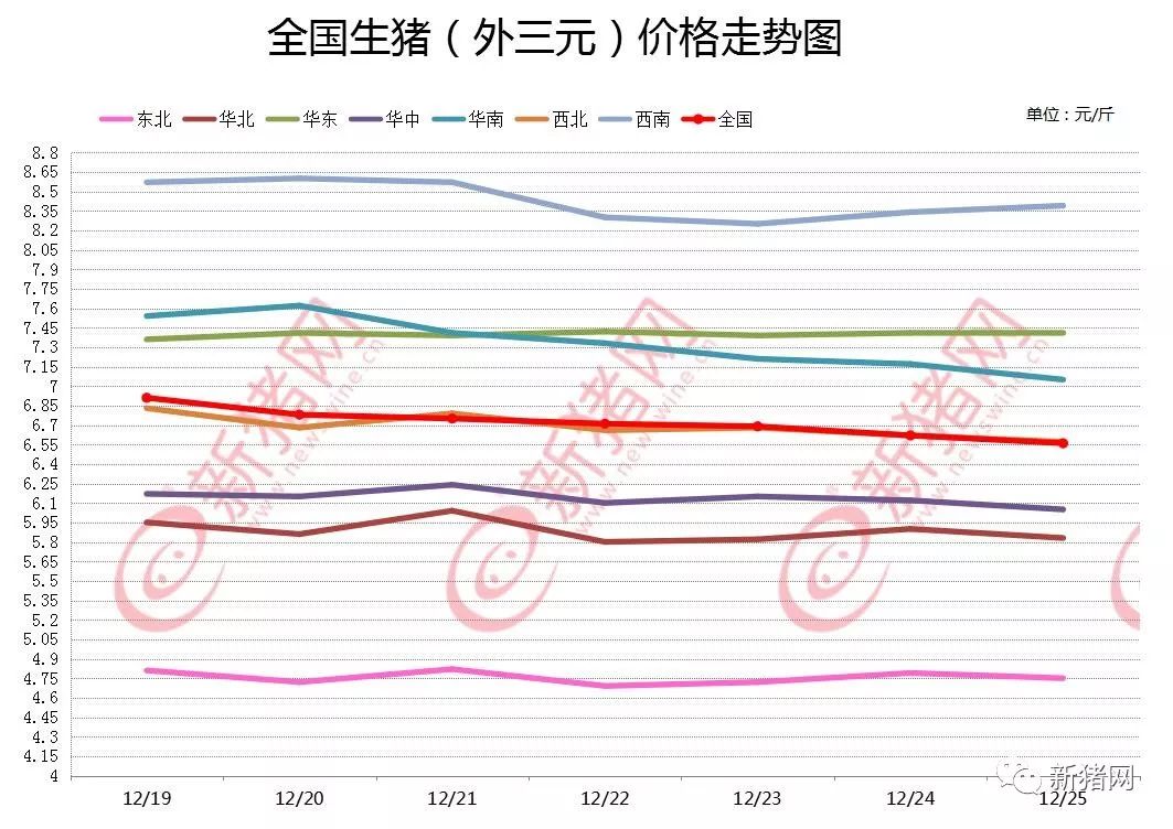 今日生豬價格動態詳解，全面指南與最新動態分析