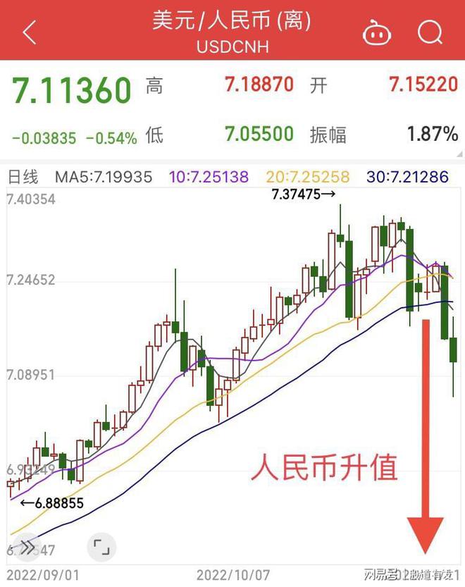 羅非魚價格動態(tài)解析，市場走勢、影響因素與案例分析