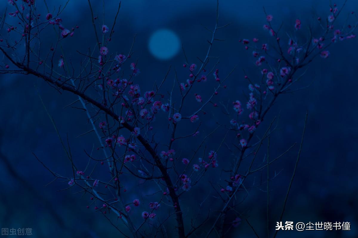 最新鄉(xiāng)村愛情之旅，與自然美景的邂逅與內(nèi)心寧靜的追尋