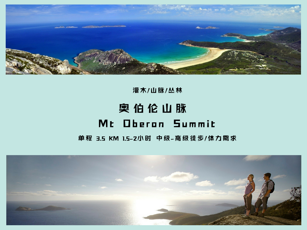 最新鈴聲排行，探索自然美景之旅，尋找內心平和之樂
