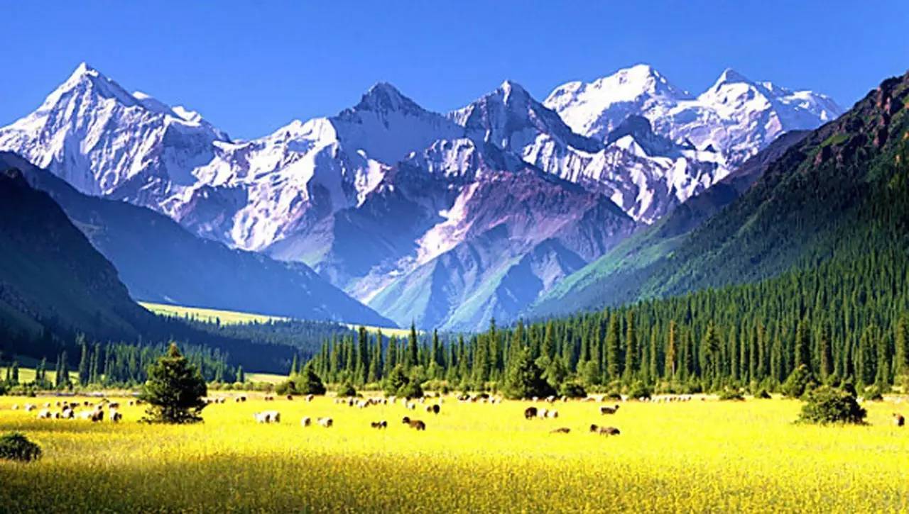 喀左最新圖片，自然美景的探索之旅