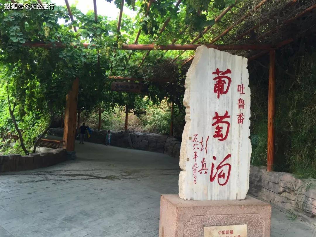 最新葡萄溝，學習變化之路的自信與成就感之源