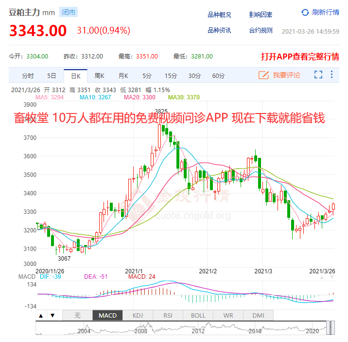 太貨六銖最新價(jià)格與市場走勢多元觀點(diǎn)分析