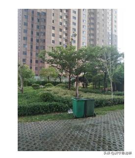 鄒城碧桂園最新動態更新
