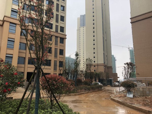 吉安理想城最新動態，啟程探索自然美景，尋覓內心平靜