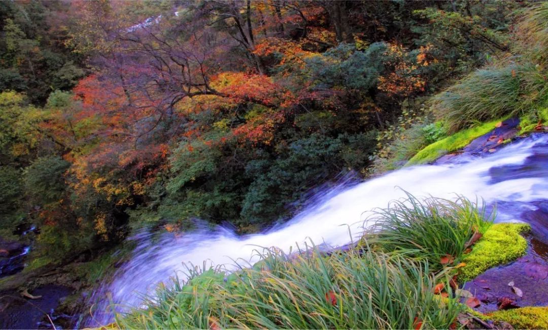 安康市北環線最新動態，自然美景探索之旅啟程