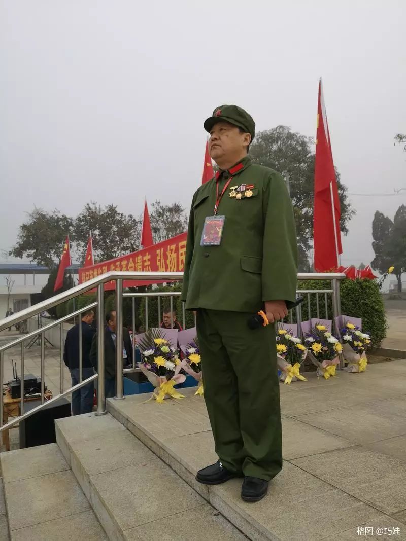 江蘇參戰老兵最新動態報道，更新消息揭秘