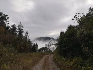 探索自然美景之旅，啟程于77ebeb最新地址，尋找內心的寧靜與和諧