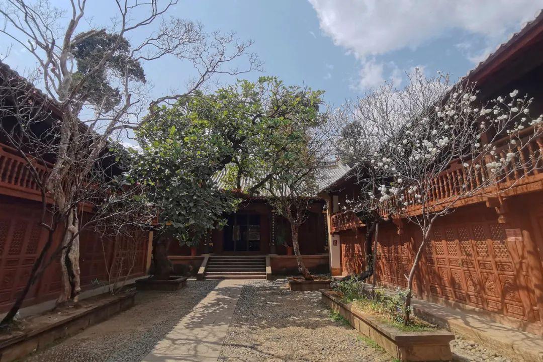 山西地震最新消息與小巷深處的特色小店探秘