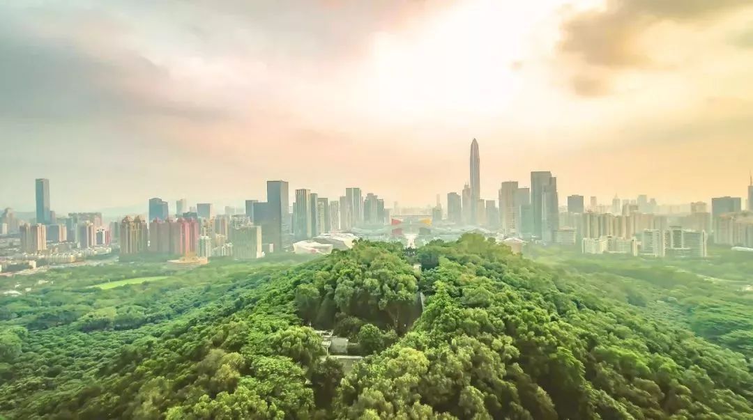 上饒上海廣場最新動態(tài)，自然美景探索之旅的心靈覺醒