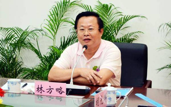 海南林方略最新動態揭秘，小巷深處的獨特風味探秘