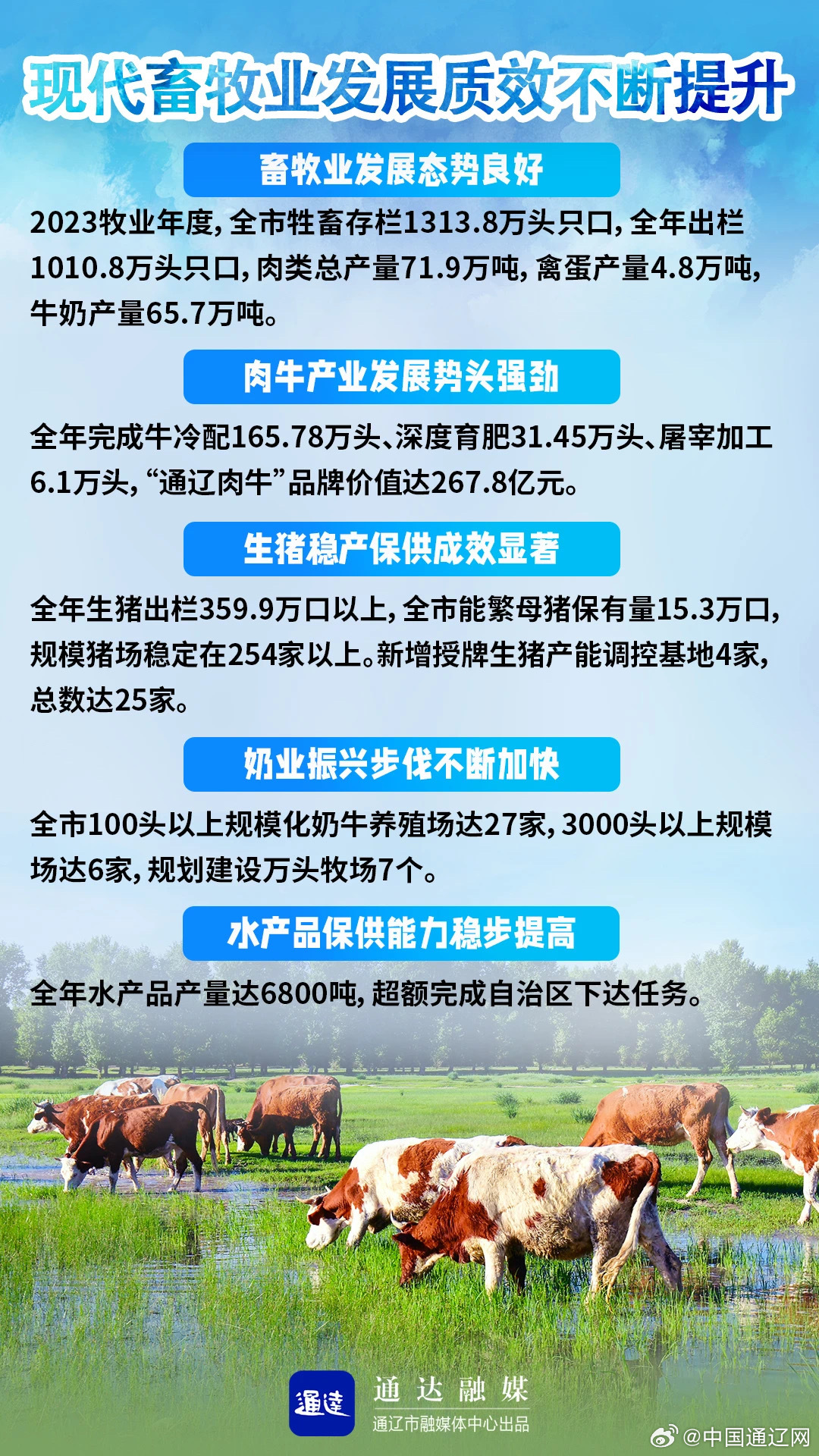 東江畜牧上市最新動態，變化帶來自信與成就感，勵志前行之路