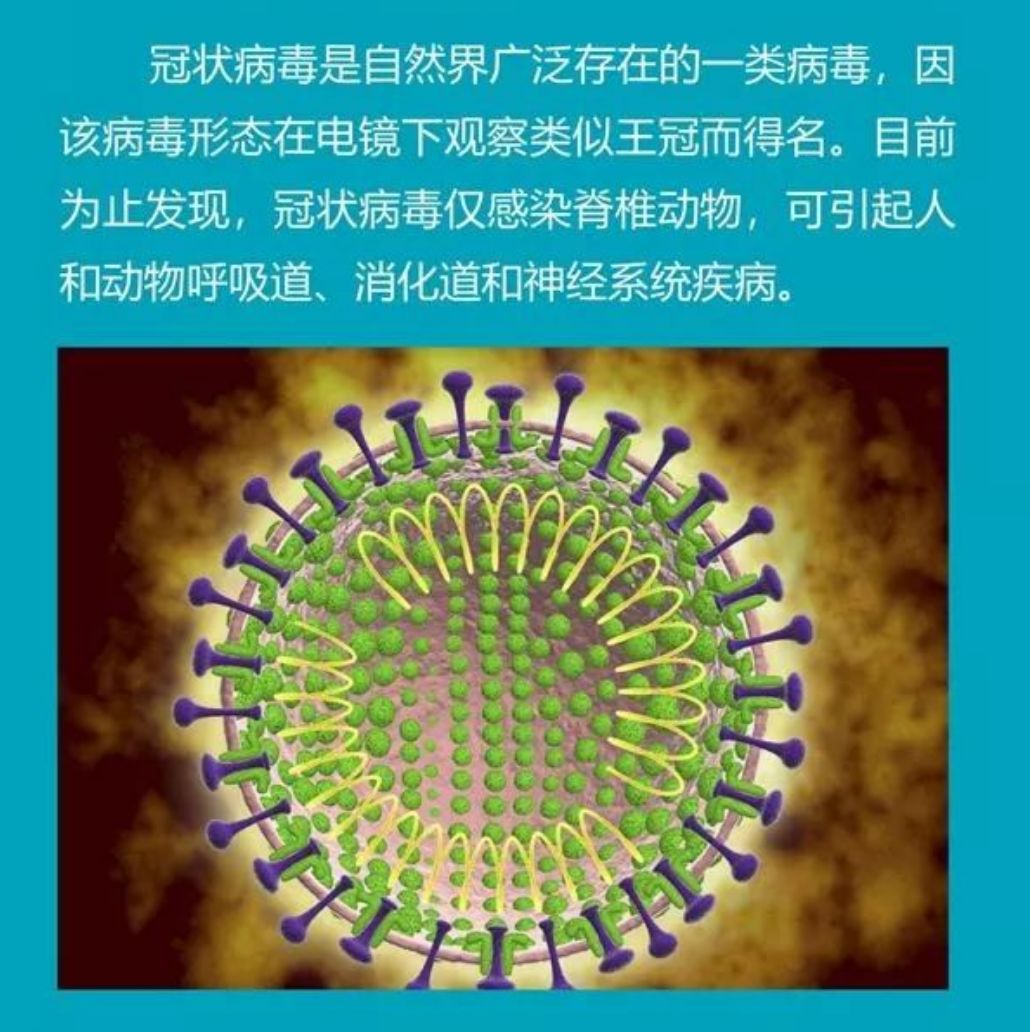 管狀病毒最新數據深度解析，背景、影響與地位探析