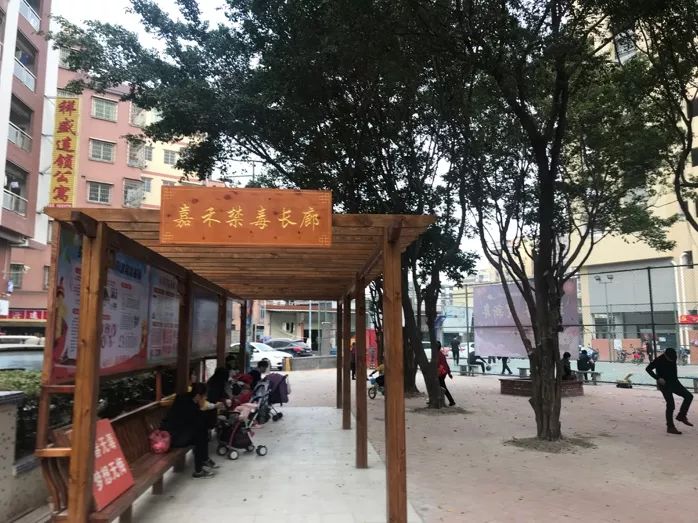 嘉禾最新動態，小巷深處的獨特風味揭秘