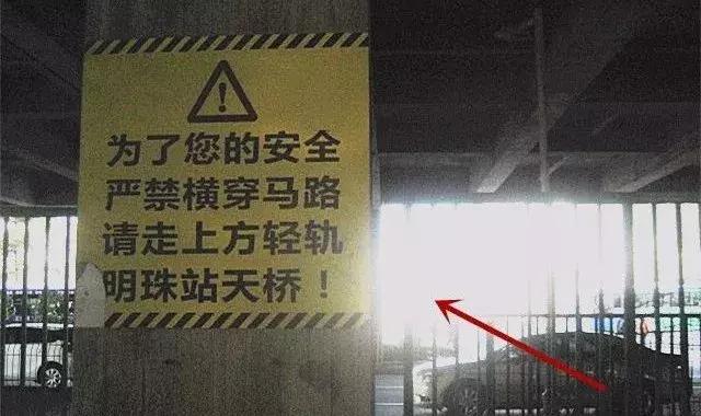 最新款玫瑰鉆，閃耀明珠見證力量與自信成就