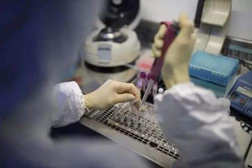 美國最新疫情動態，變化中的力量與學習帶來的自信與成就感