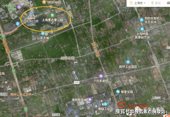 小舞最新版深度解析，特點與優勢一覽