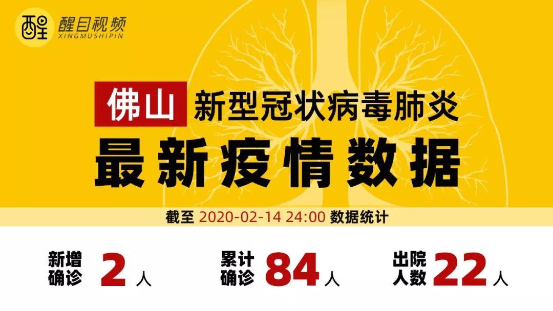 佛山新型肺炎最新動(dòng)態(tài)，小巷深處的獨(dú)特風(fēng)味