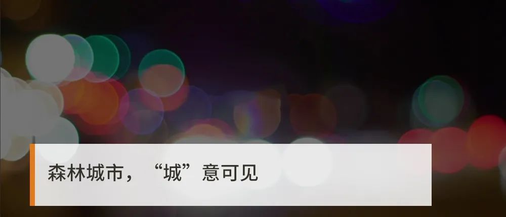 寵文網盤最新，自信與成長的旋律每一步記錄