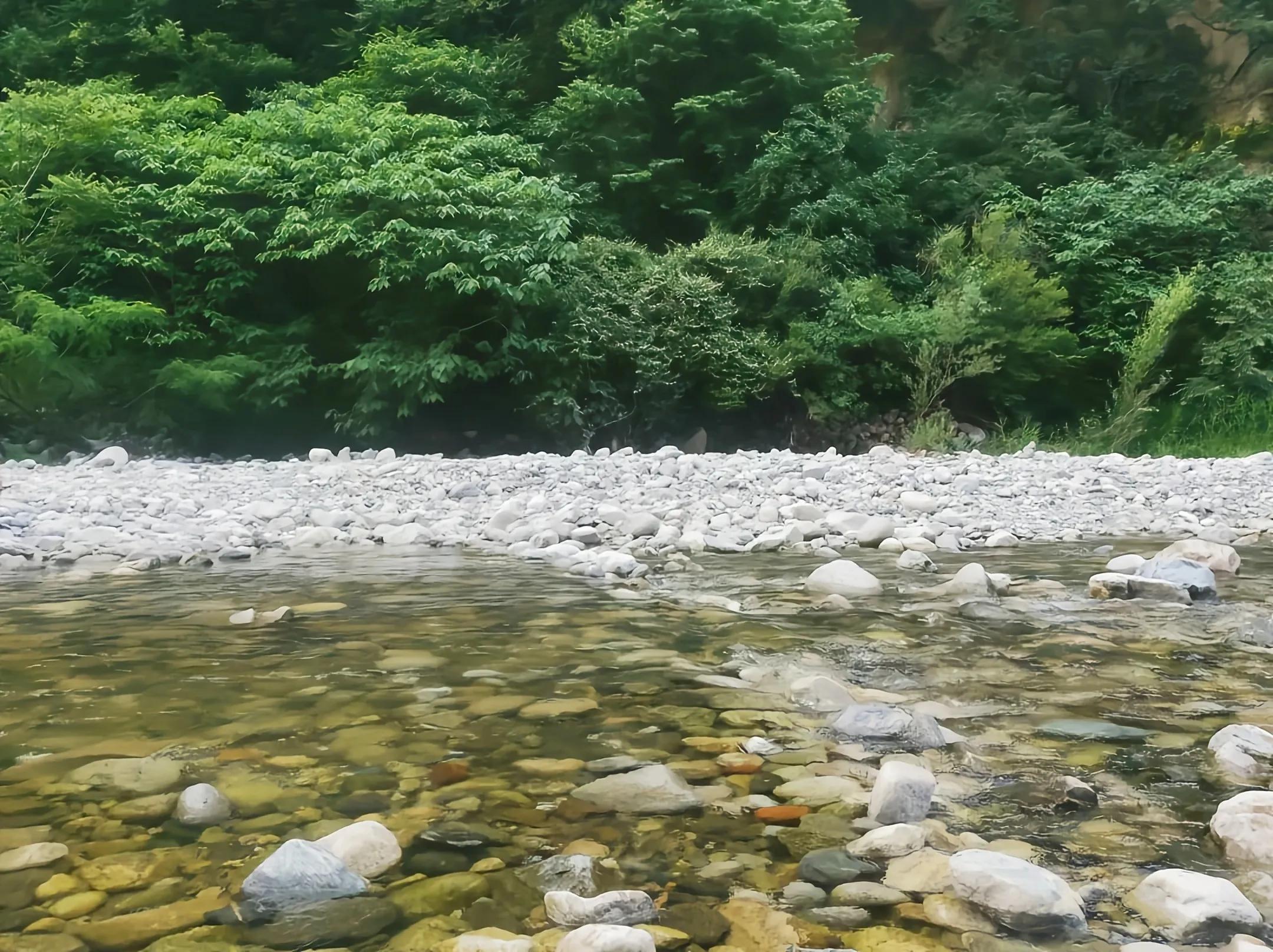 疫情通報