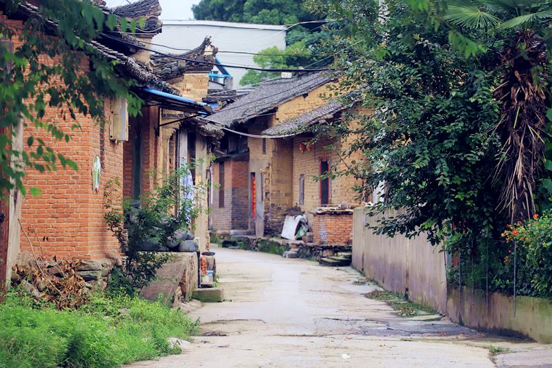 寧夏國(guó)企招聘資訊揭秘，小巷深處的職業(yè)機(jī)遇