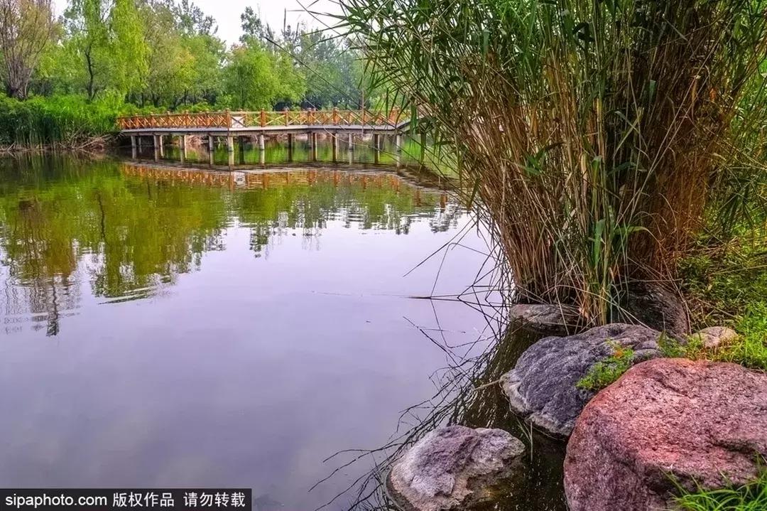 最新無限飛，輕松探索自然美景的旅程