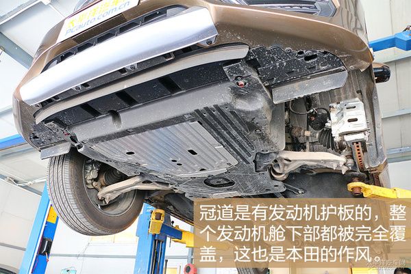冠道最新動態深度解析與觀點闡述