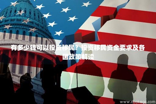 投資移民最新政策深度解析與觀點闡述