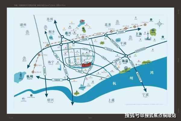 最新車禍網(wǎng)深度分析與個(gè)人觀點(diǎn)分享