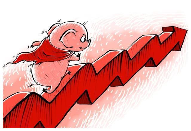云南豬價最新動態解析，洞悉走勢，全面解讀！