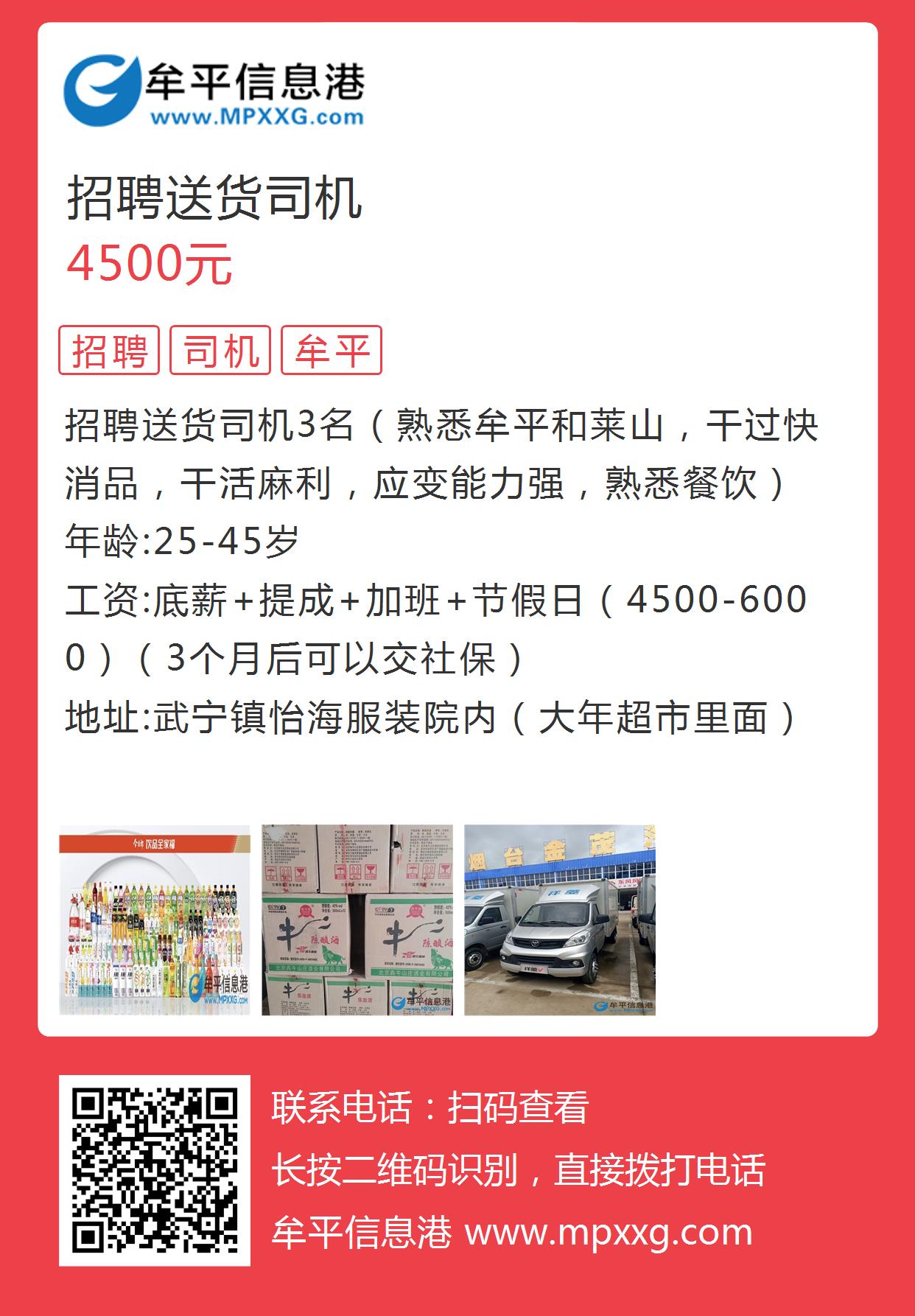 東營司機最新招聘信息，探尋自然美景，尋覓內(nèi)心寧靜之旅