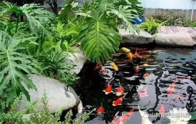 騰訊QQ最新版本下載，探索自然美景，尋找內心平和之旅