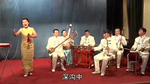 最新上黨鼓書，自然之旅的心靈覺醒之旅