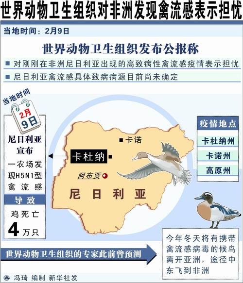 全球禽流感最新態勢及應對策略解析