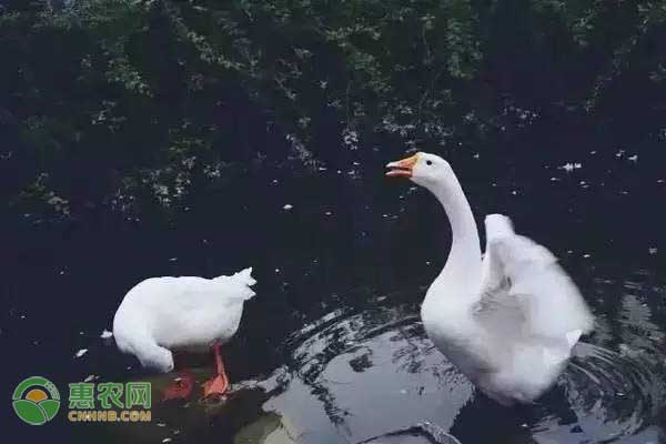 南通鋁業(yè) 第48頁