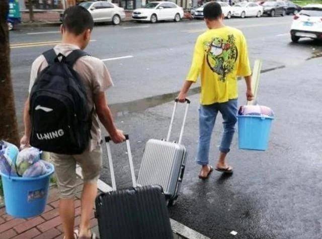 廣東雞價格最新動態，學習變化中的市場趨勢，自信成就未來力量