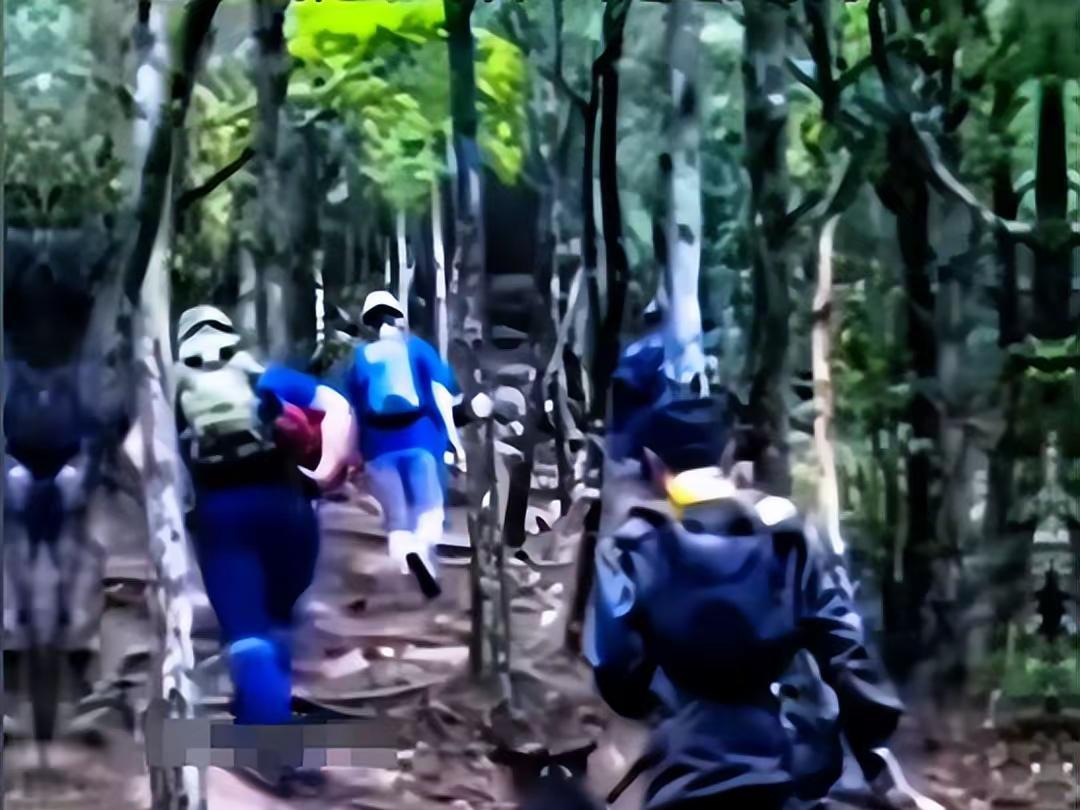 福建老師神秘失蹤探尋自然美景之旅，追尋內心平靜真相揭秘