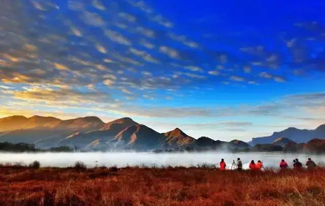 紅翻閣最新觀看地址，探索自然美景，尋覓內心平和之旅