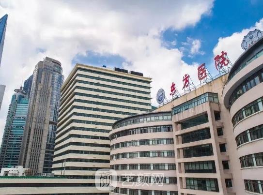 上海三甲醫院最新排名，醫療巔峰與一段溫馨的友情故事交織呈現