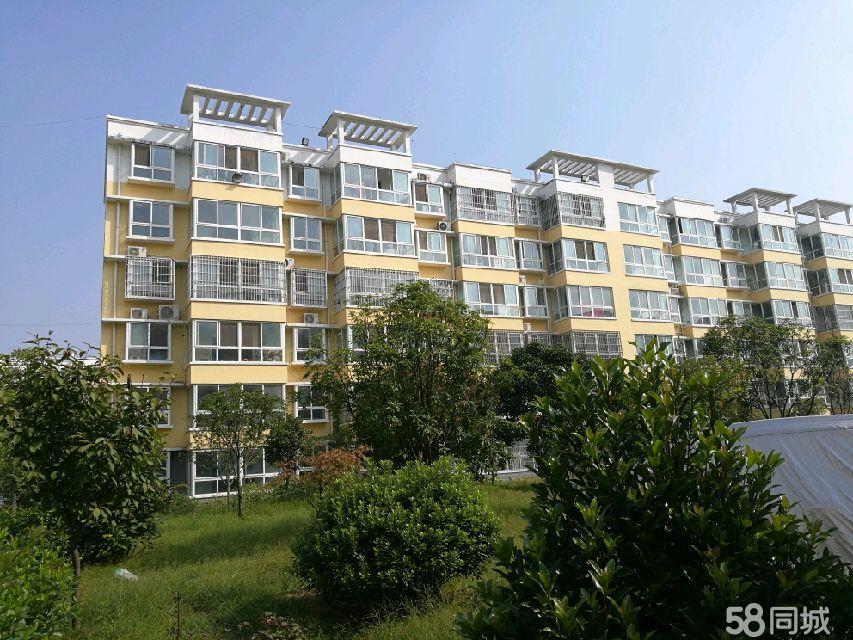上蔡龍興社區最新房價，背景、動態與地位全面解析的房價報告
