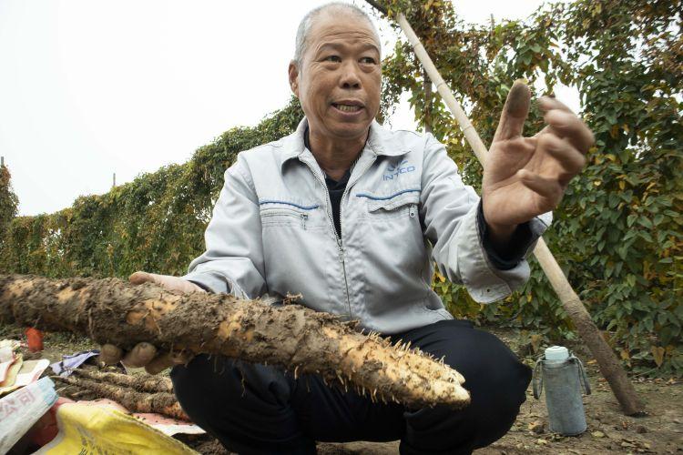 桓臺政務(wù)網(wǎng)最新招聘，探尋政府機構(gòu)的職業(yè)機遇