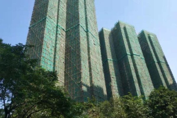 佛山金域緹香最新報價及市場走勢與個人立場分析