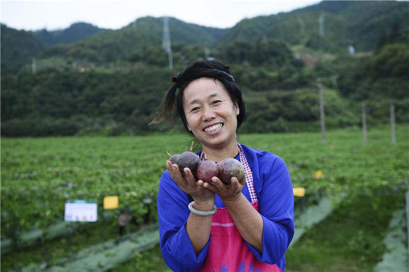 吉首榕江小區新生活序幕揭曉，最新動態與消息速遞