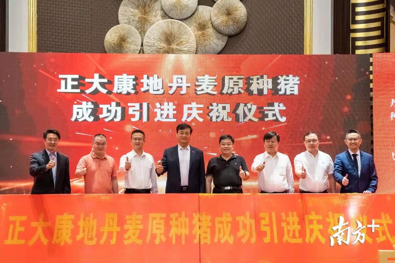 梅州市最新生豬價格與科技引領下的畜牧業新動向智能查詢系統