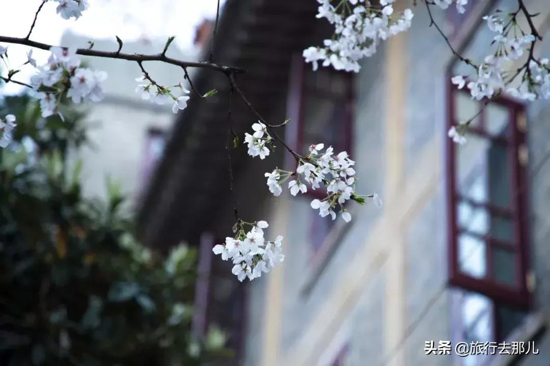 南通鋁業 第28頁
