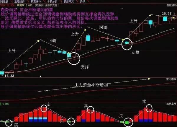 陜西金葉股票最新動態，自然美景探索之旅啟幕