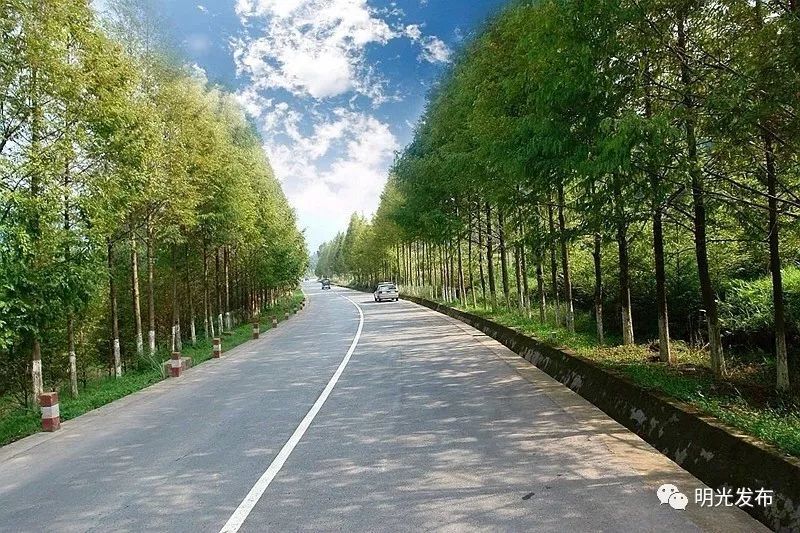 明光257省道最新動態，啟程探索自然美景，追尋內心寧靜與平和之路